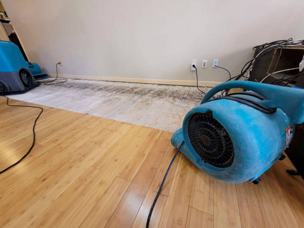 Professional Water Damage Repair technician working in Five Points, NC
