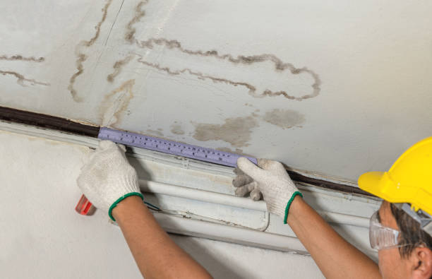 Affordable Water Damage Repair solutions in Five Points, NC